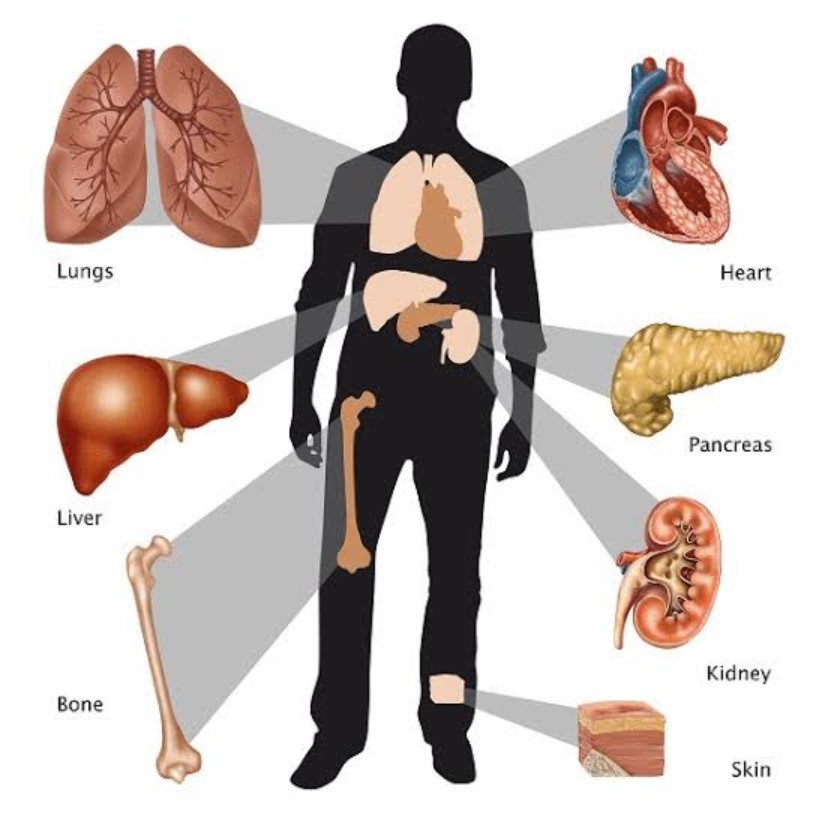 IronDeficiency