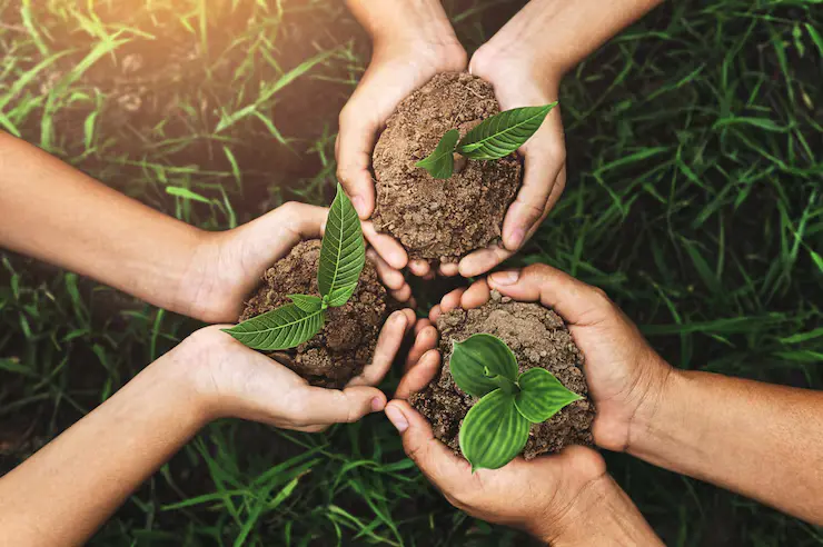 social-responsibility
